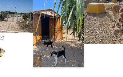 2500 € an den Tierschutz und die Tiervermittlung RespekTiere e.V. in Zusammenarbeit mit dem Refugio Arca Sarda auf Sardinien